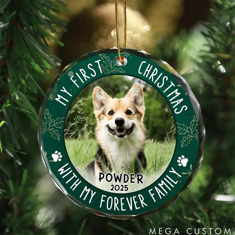Personalized Pet Lover Custom Photo First Christmas Circle Glass Christmas Ornament