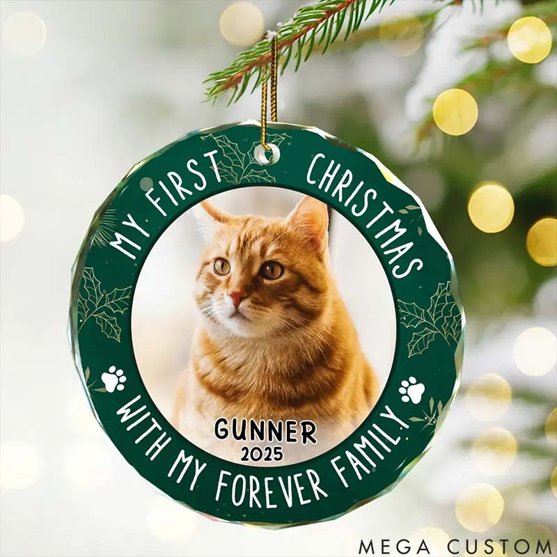 Personalized Pet Lover Custom Photo First Christmas Circle Glass Christmas Ornament