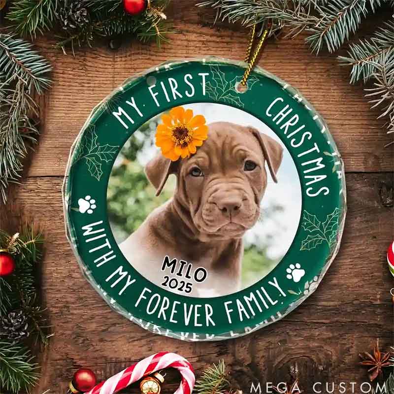 Personalized Pet Lover Custom Photo First Christmas Circle Glass Christmas Ornament