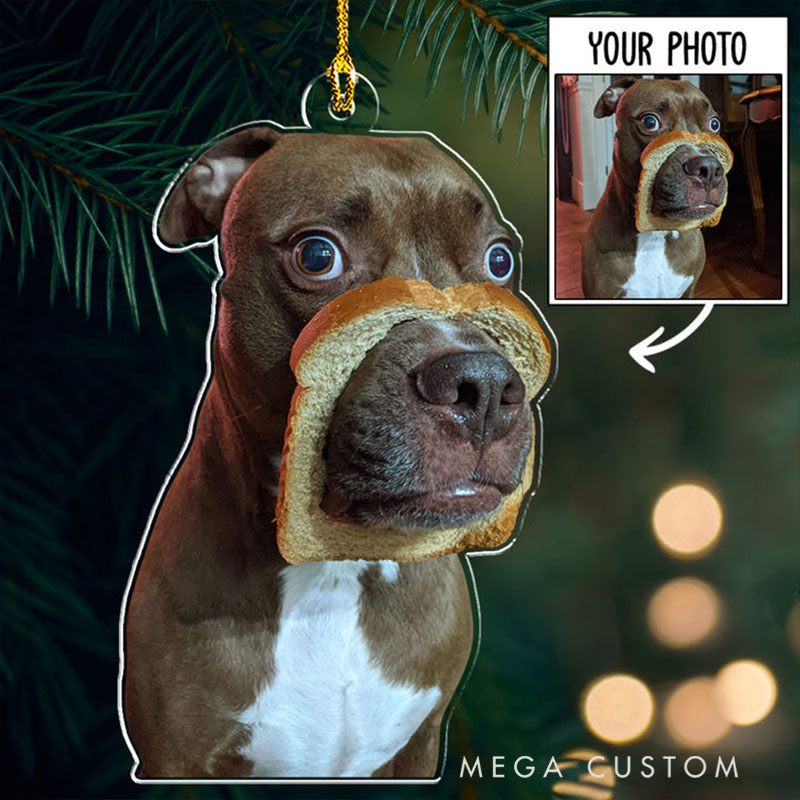 Personalized Pet Lover Custom Photo Funny Pet Christmas Ornament