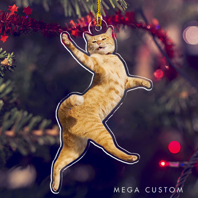 Personalized Pet Lover Custom Photo Funny Pet Christmas Ornament