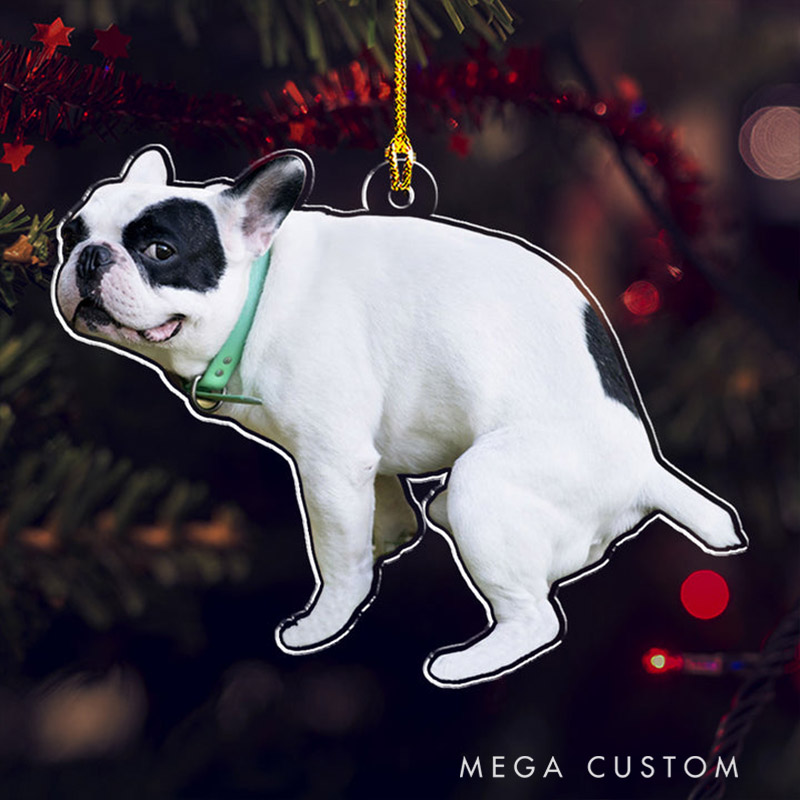 Personalized Pet Lover Custom Photo Funny Pet Christmas Ornament