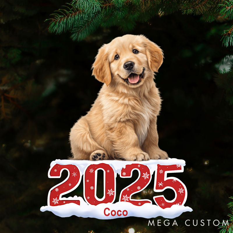 Personalized Pet Lover Custom Photo Human Pet 2025 Christmas Ornament