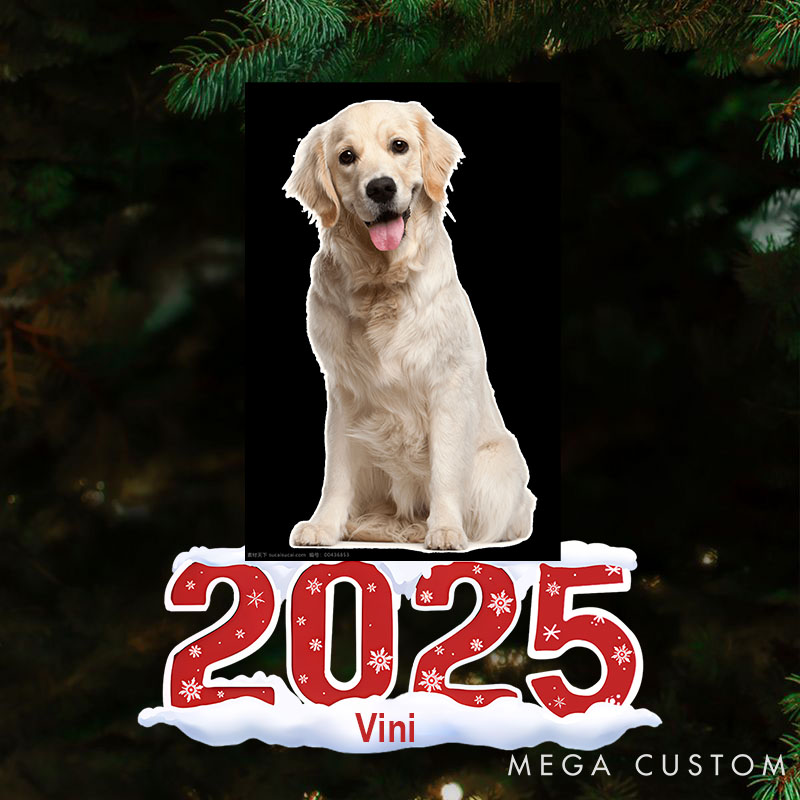 Personalized Pet Lover Custom Photo Human Pet 2025 Christmas Ornament