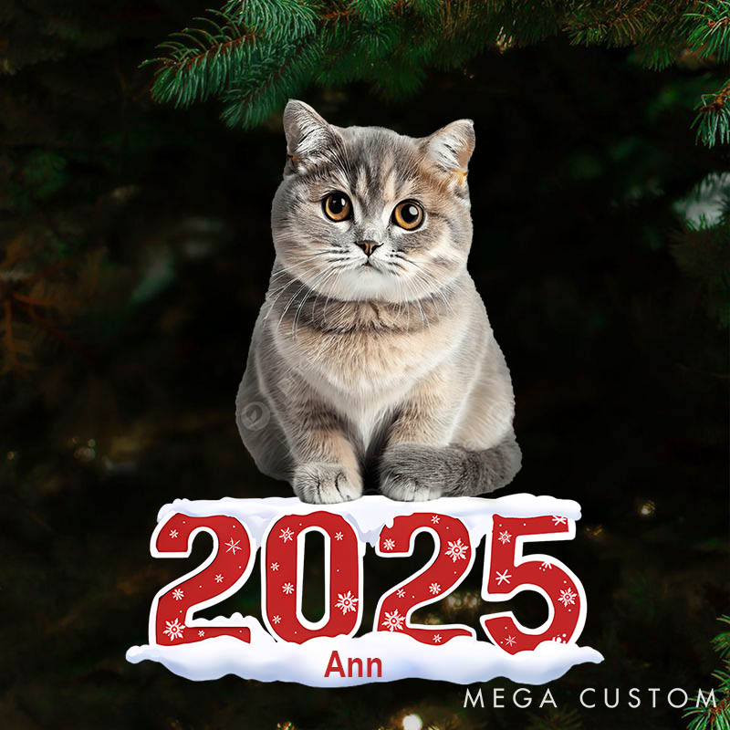 Personalized Pet Lover Custom Photo Human Pet 2025 Christmas Ornament