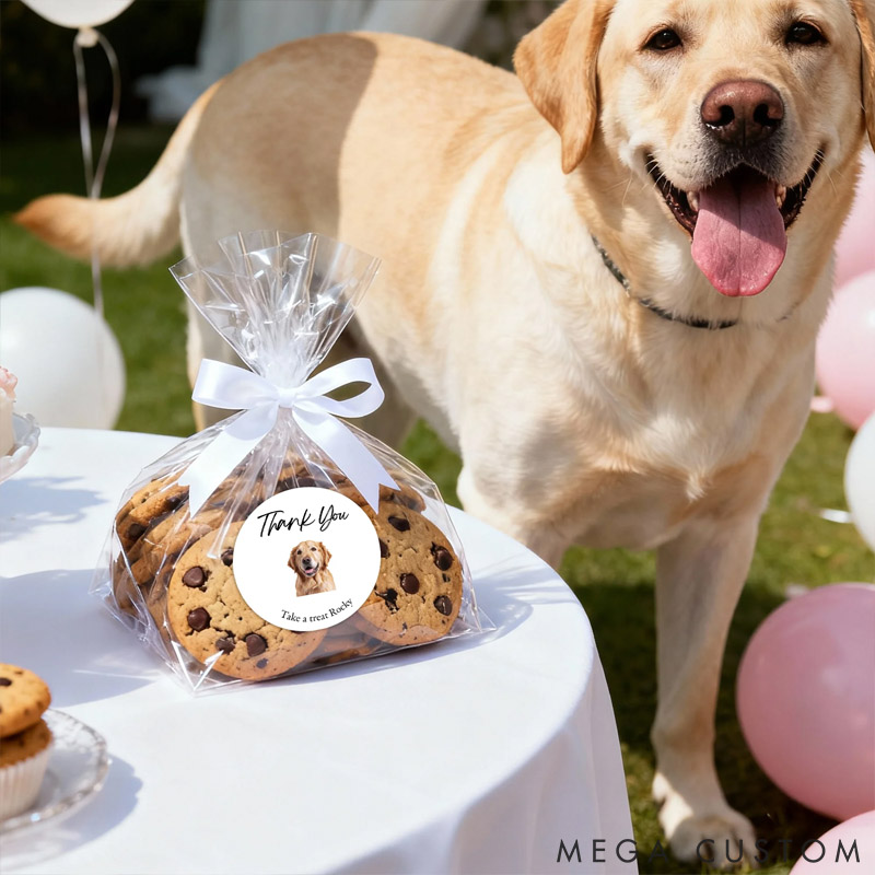 Personalized Pet Lover Cute Pet Photo Waterproof Sticker with Name Wedding Party Gift Decoration for Newlyweds Stickers