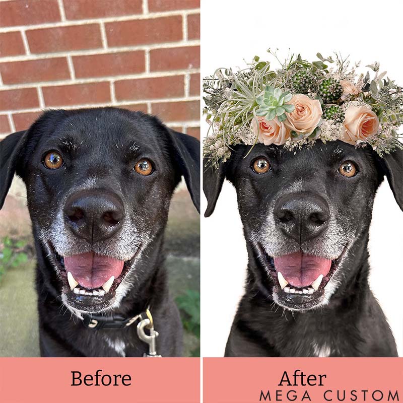 Personalized Pet Lover Desert Pet Portrait