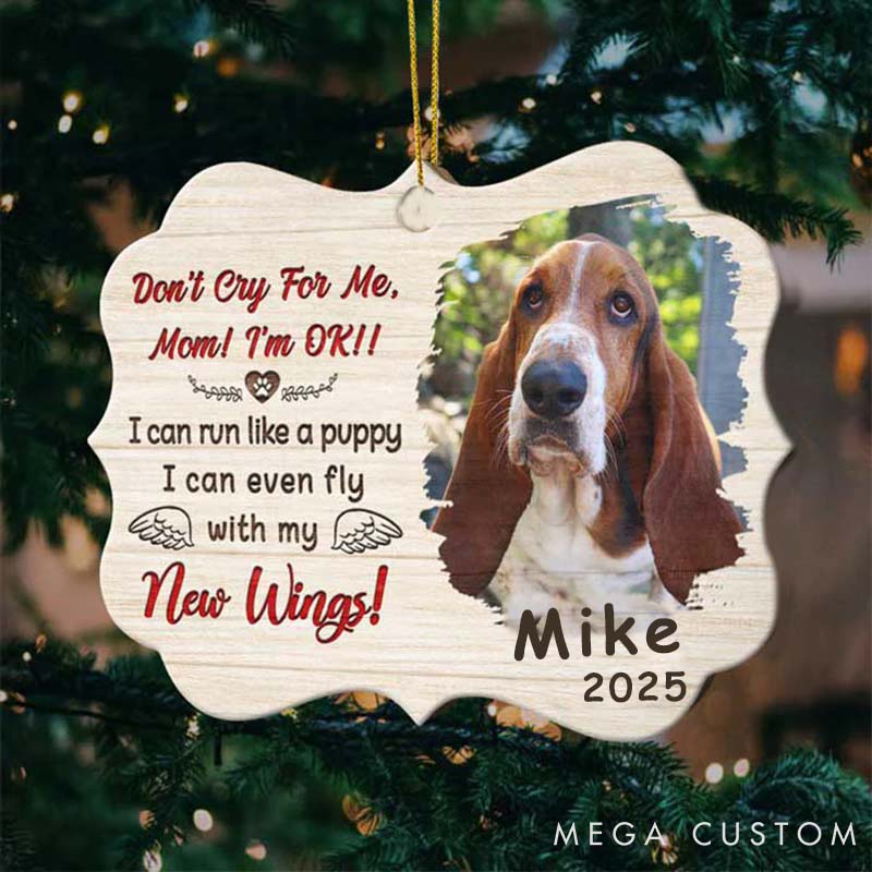 Personalized Pet Lover Don't Cry for Me Ornament