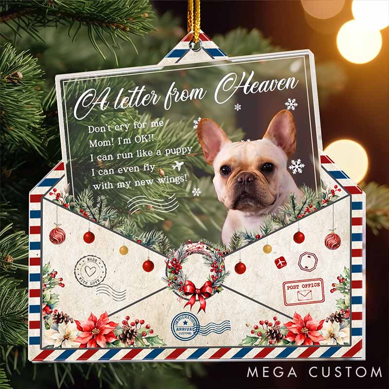 Personalized Pet Lover Don't Cry for Me Pet Loss Ornament