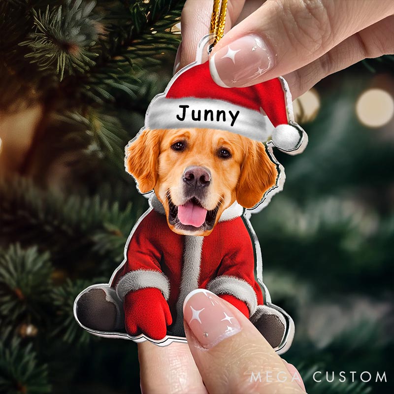 Personalized Pet Lover Face for Pet Loves Funny Christmas Ornament