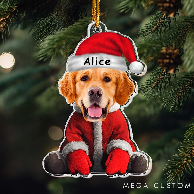 Personalized Pet Lover Face for Pet Loves Funny Christmas Ornament