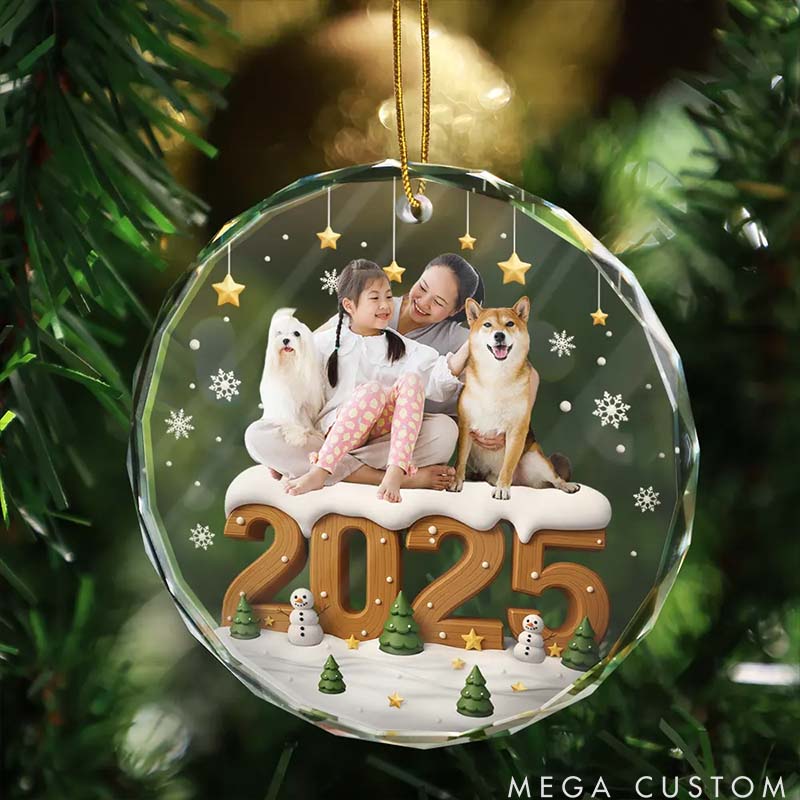 Personalized Pet Lover Family Besties Glass Christmas Ornament