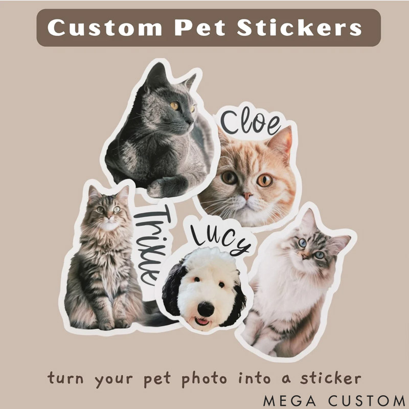 Personalized Pet Lover Featuring Your Furry Friend's Adorable Image Stickers
