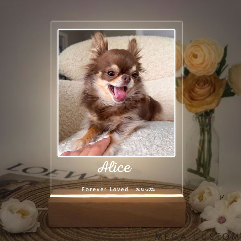 Personalized Pet Lover Forever Love Pet Light