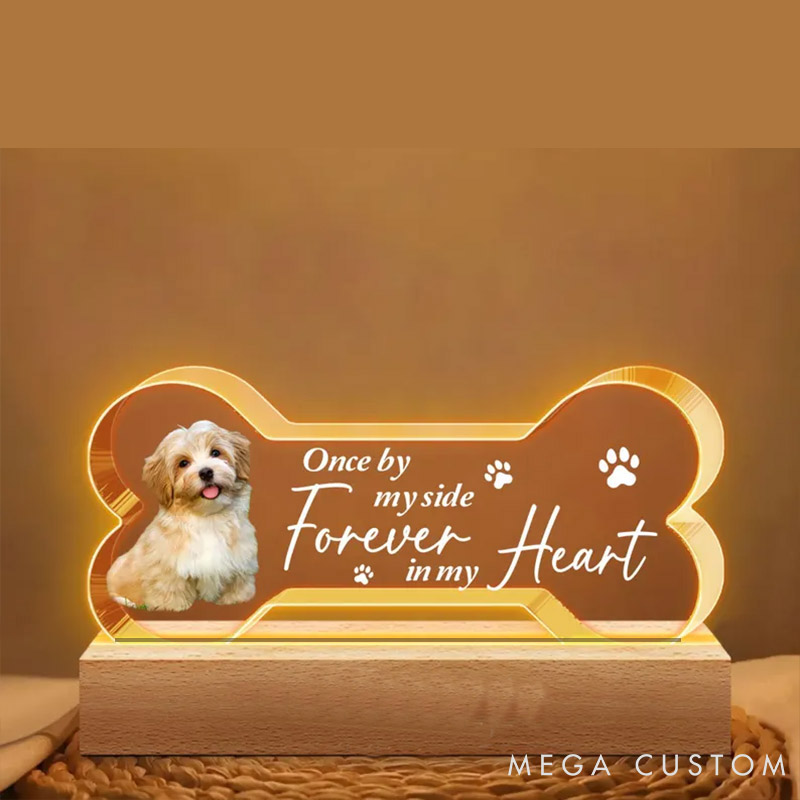 Personalized Pet Lover Forever by My Side Pet Light