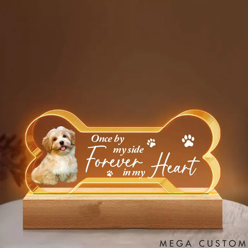 Personalized Pet Lover Forever by My Side Pet Light