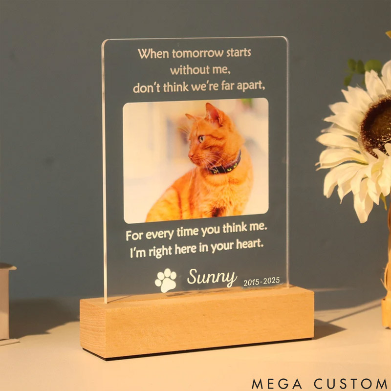 Personalized Pet Lover Forever in My Heart Pet Light