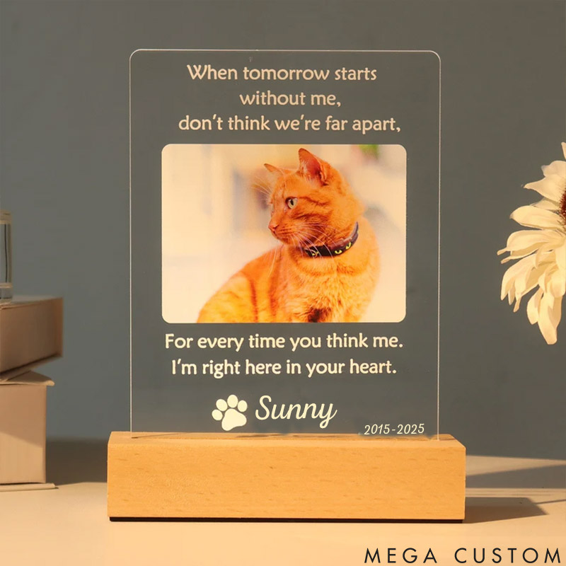 Personalized Pet Lover Forever in My Heart Pet Light