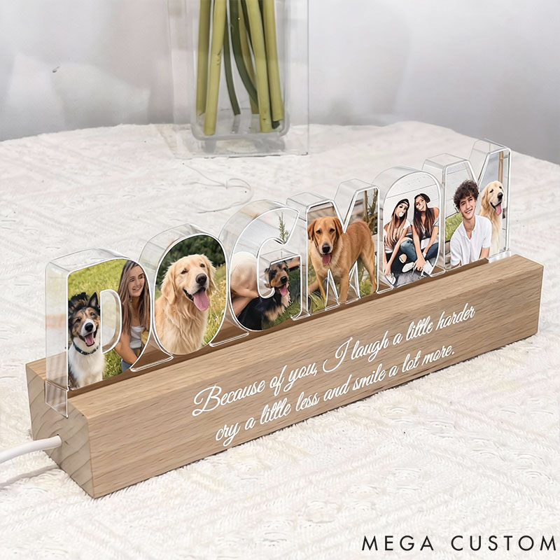 Personalized Pet Lover Friendship Photo Collage LED Night Light
