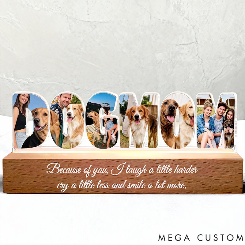 Personalized Pet Lover Friendship Photo Collage LED Night Light