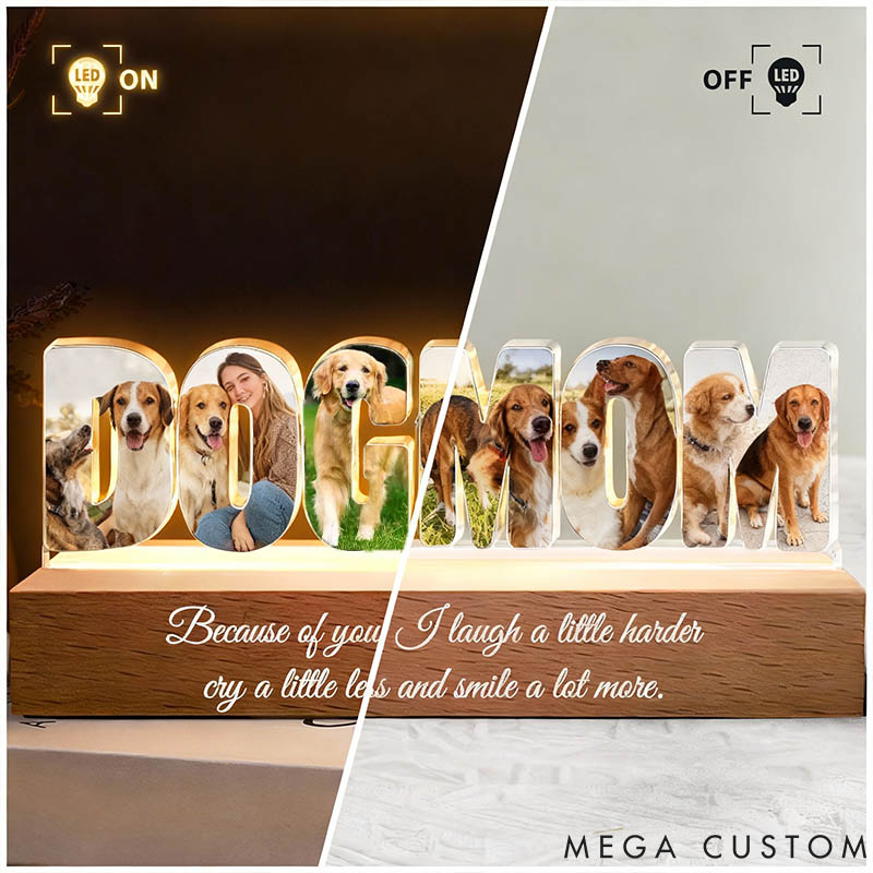 Personalized Pet Lover Friendship Photo Collage LED Night Light