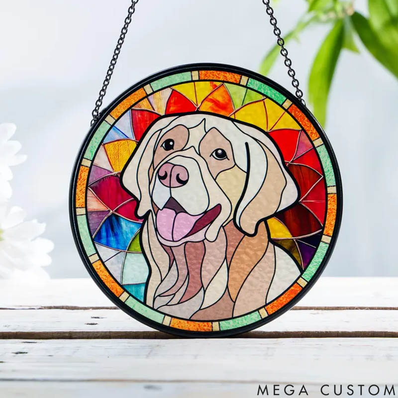 Personalized Pet Lover Geometric and Rainbow Patterns Sun Catcher