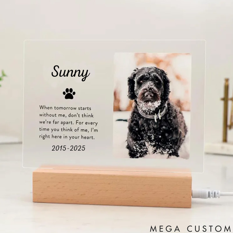 Personalized Pet Lover Heartfelt Paws Pet Light