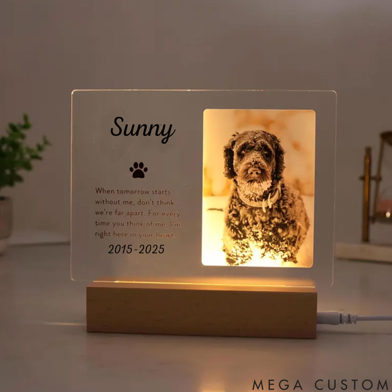 Personalized Pet Lover Heartfelt Paws Pet Light