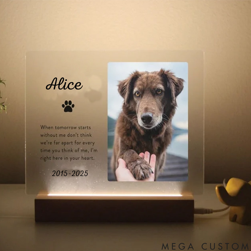 Personalized Pet Lover Heartfelt Paws Pet Light