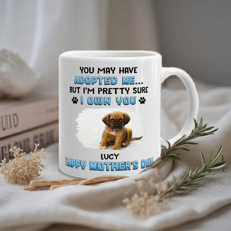 Personalized Pet Lover I Own You Mugs