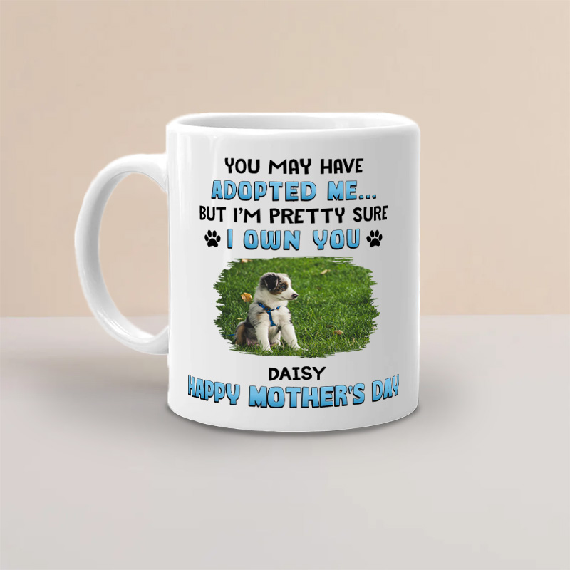 Personalized Pet Lover I Own You Mugs