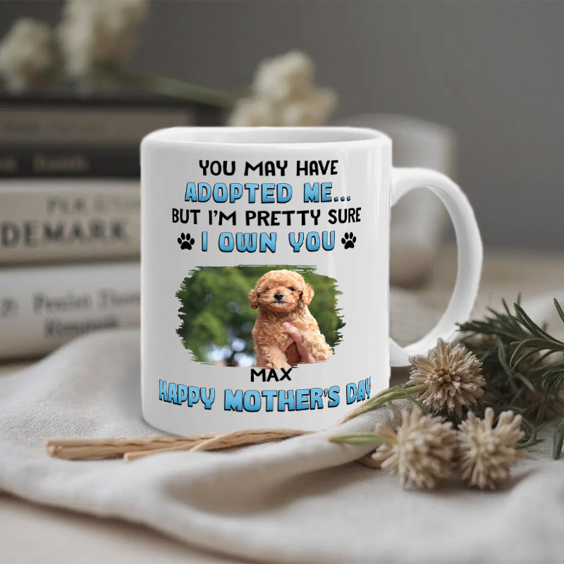 Personalized Pet Lover I Own You Mugs