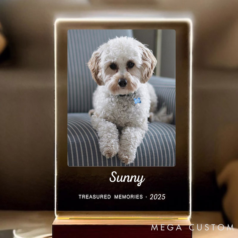 Personalized Pet Lover Light Up Pet Light