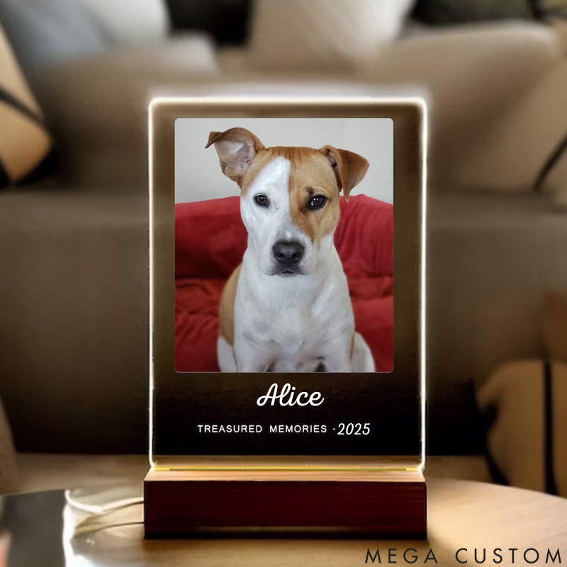 Personalized Pet Lover Light Up Pet Light