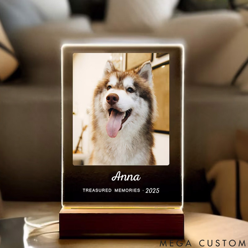 Personalized Pet Lover Light Up Pet Light