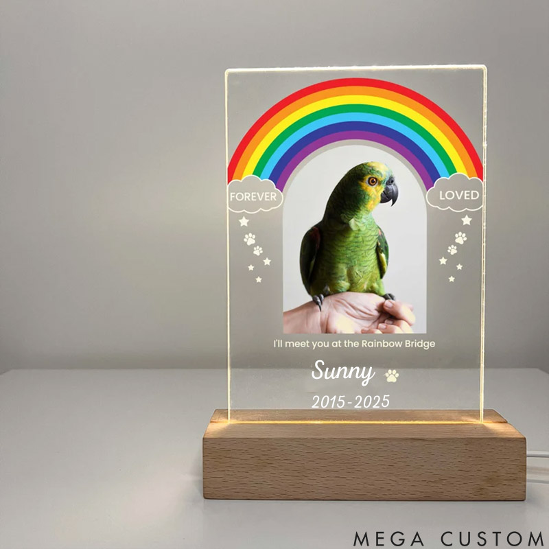 Personalized Pet Lover Meet You at the Rainbow Bridge Pet Light
