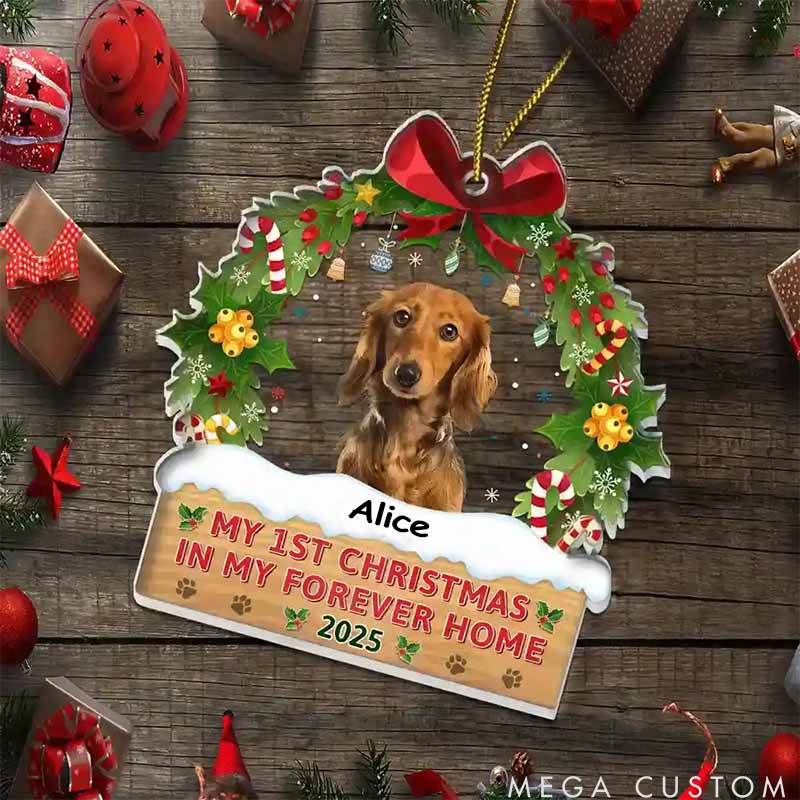 Personalized Pet Lover My 1st Christmas in My Forever Home Christmas Ornament