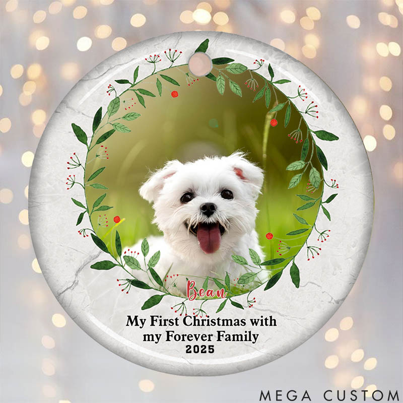 Personalized Pet Lover My First Christmas with My Forever Family Christmas Ornament