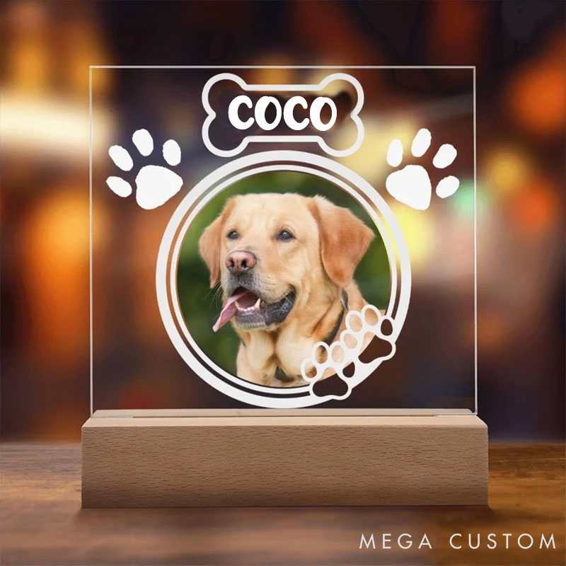 Personalized Pet Lover Pawfect Tribute Pet Light