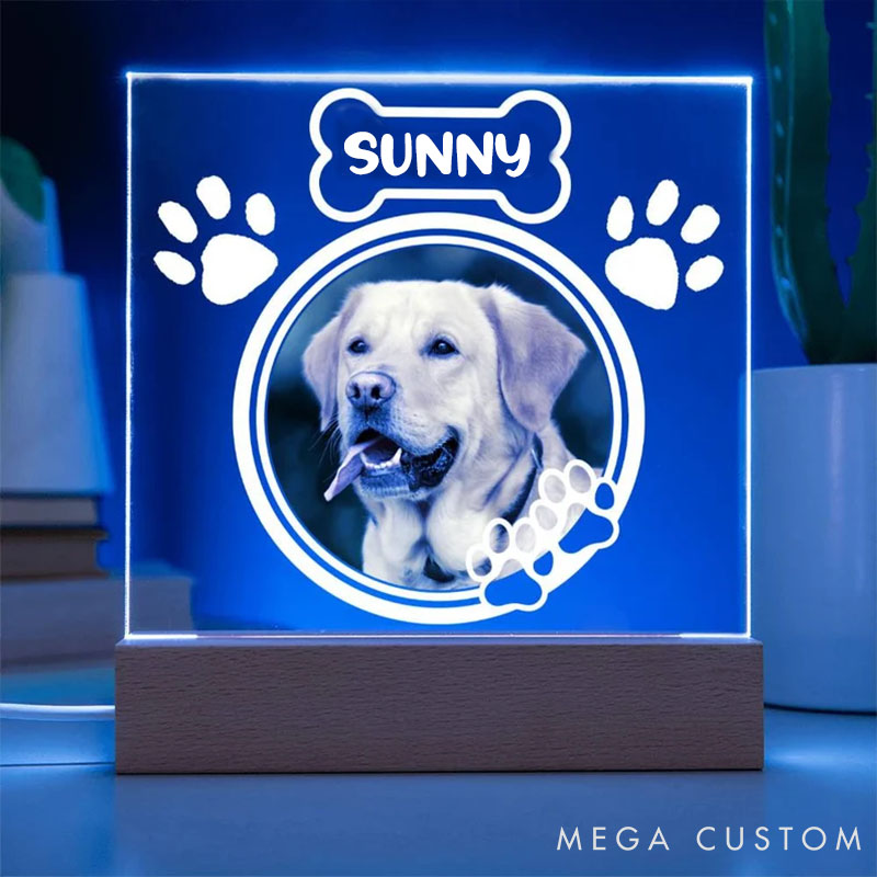 Personalized Pet Lover Pawfect Tribute Pet Light