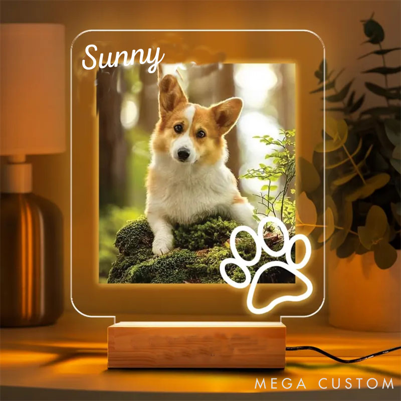 Personalized Pet Lover Pawprints Pet Light