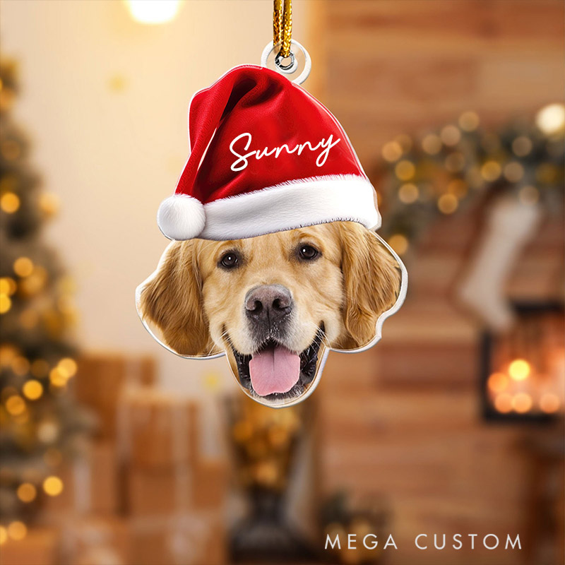 Personalized Pet Lover Pet Funny Christmas Face Christmas Ornament