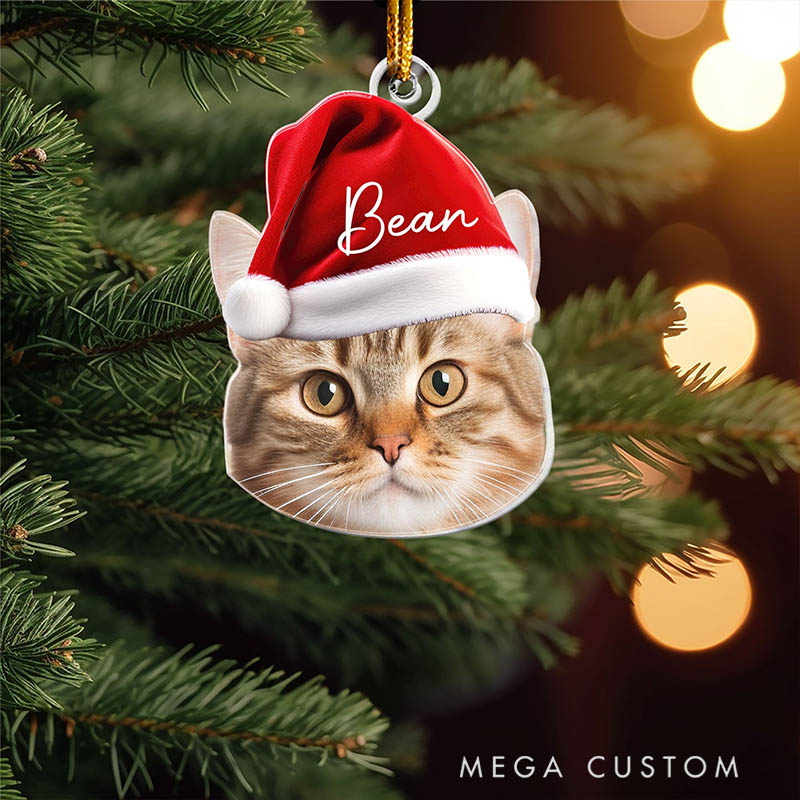 Personalized Pet Lover Pet Funny Christmas Face Christmas Ornament