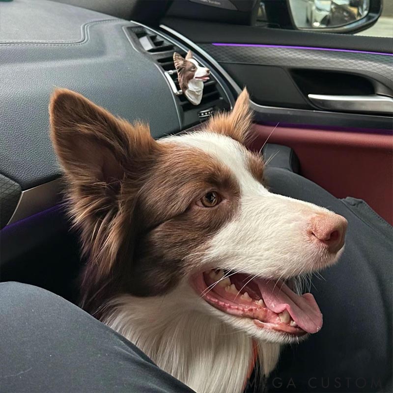 Personalized Pet Lover Pet Photo Dog Cat Plaster Sculpture Car Diffuser