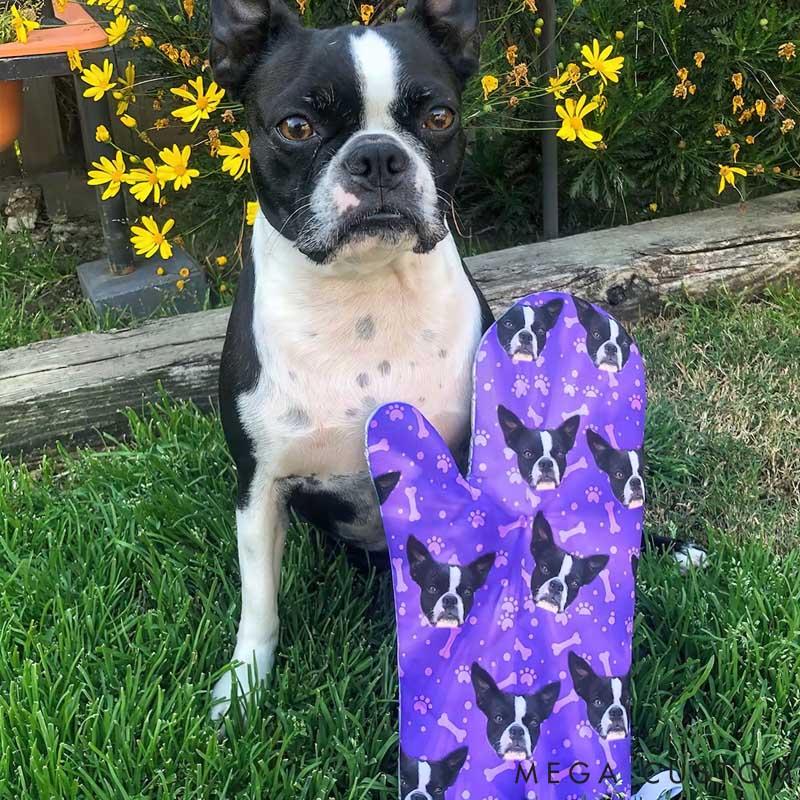 Personalized Pet Lover Pet Photo Put Your Cute Dog on Mittens