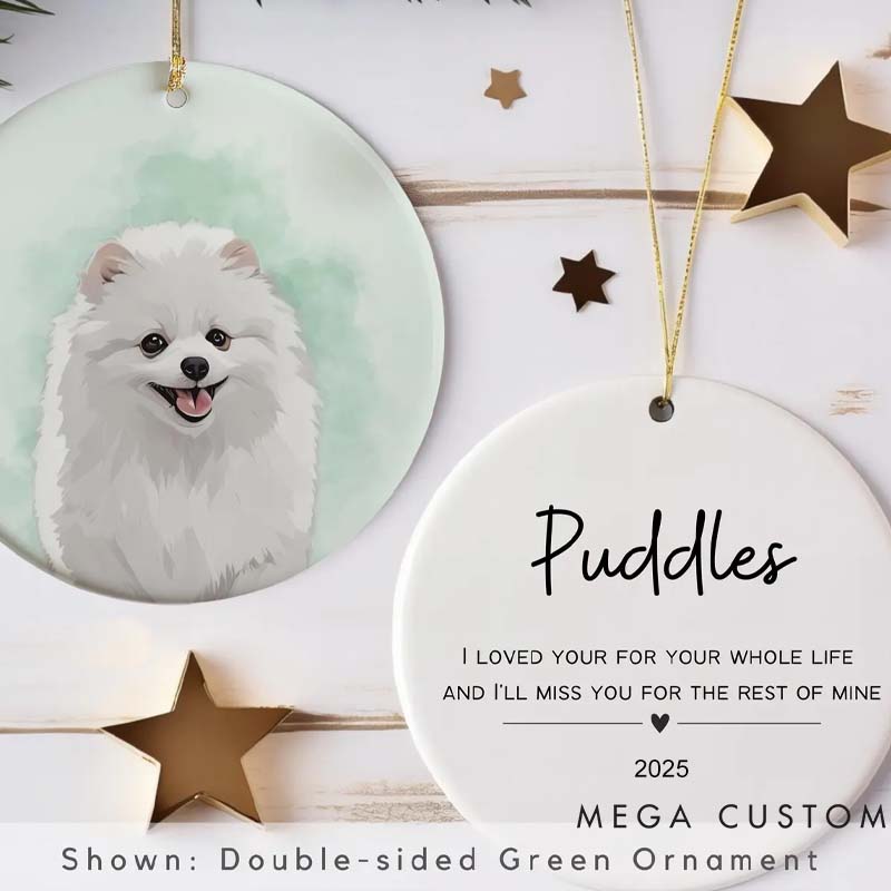Personalized Pet Lover Pets Photo Name Portrait Christmas Ornament