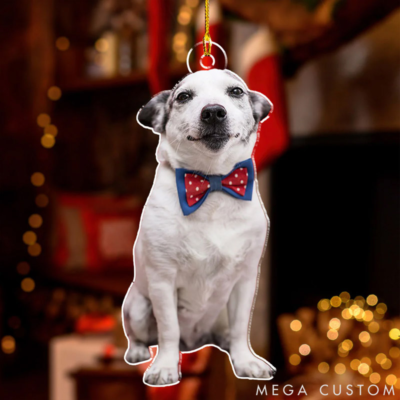 Personalized Pet Lover Photo Pet Christmas Ornament