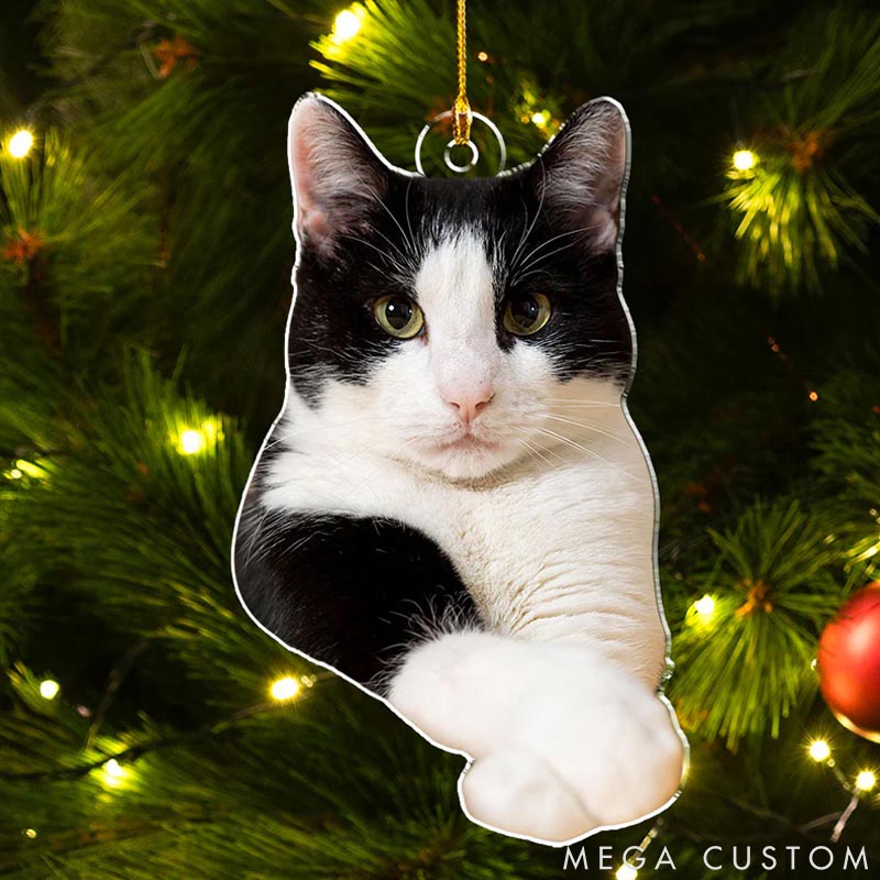 Personalized Pet Lover Photo Pet Christmas Ornament