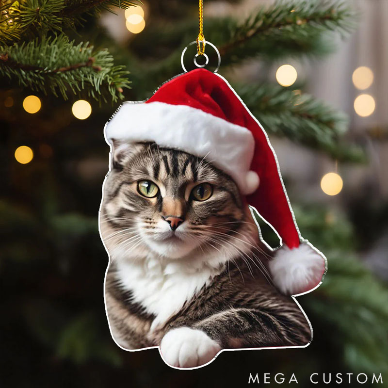 Personalized Pet Lover Photo Pet Christmas Ornament