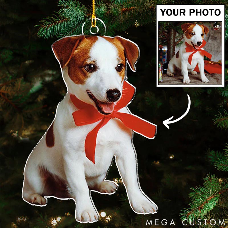 Personalized Pet Lover Photo Pet Christmas Ornament